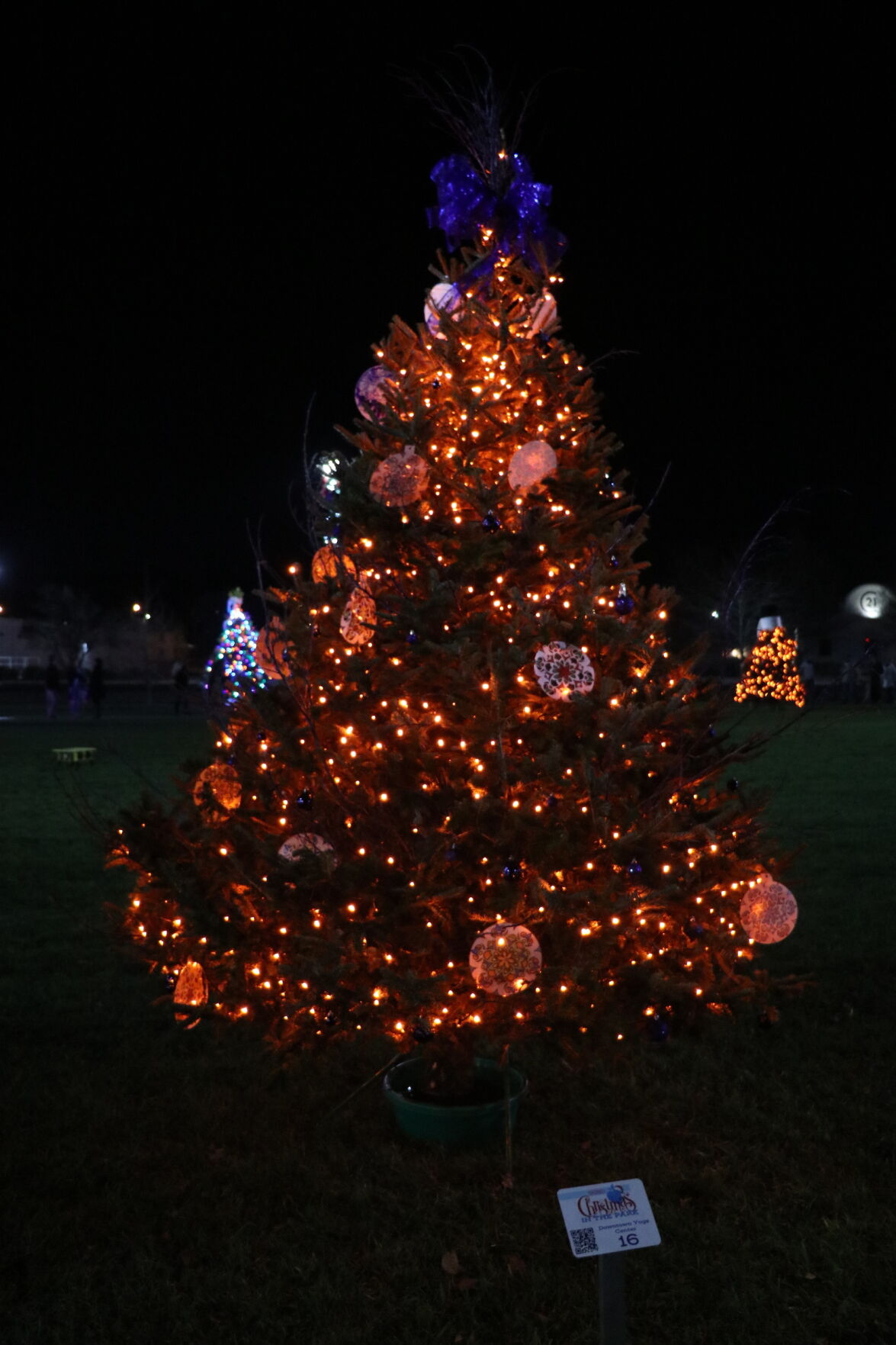 Christmas in the Park